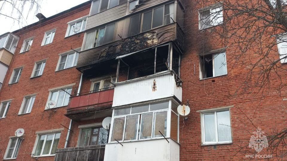 Кошка спасла хозяина от гибели при пожаре в Подмосковье