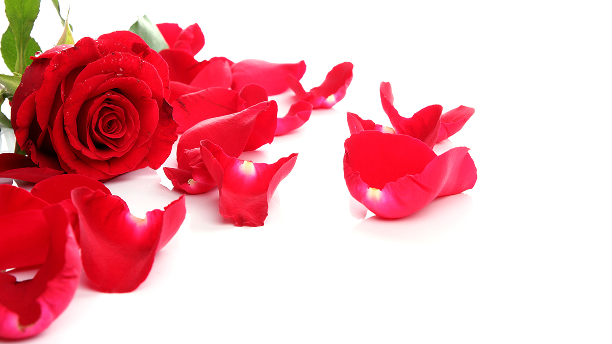 Букет на День святого Валентина: худшие варианты