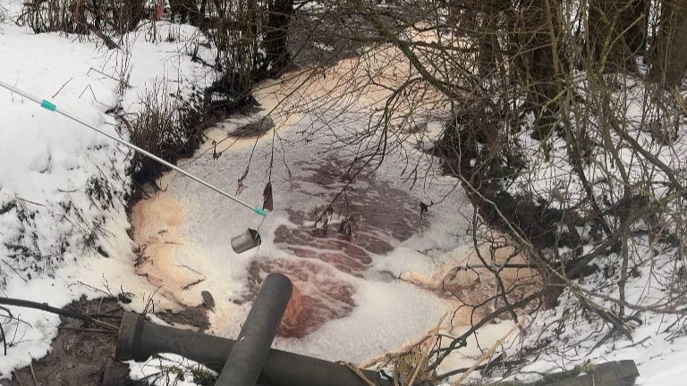 Превышение уровня токсинов в тысячу раз обнаружили в реке в Ленобласти