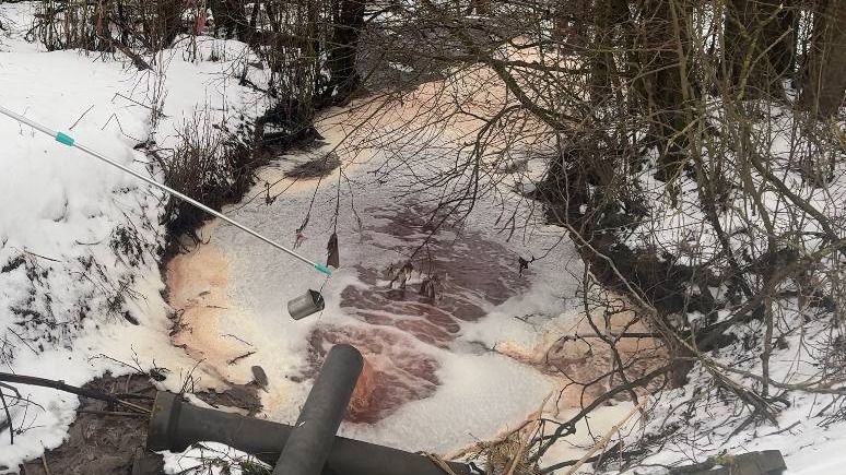 Загрязнение реки Нейма в Ленобласти: как произошло, почему умирает рыба и получится ли очистить