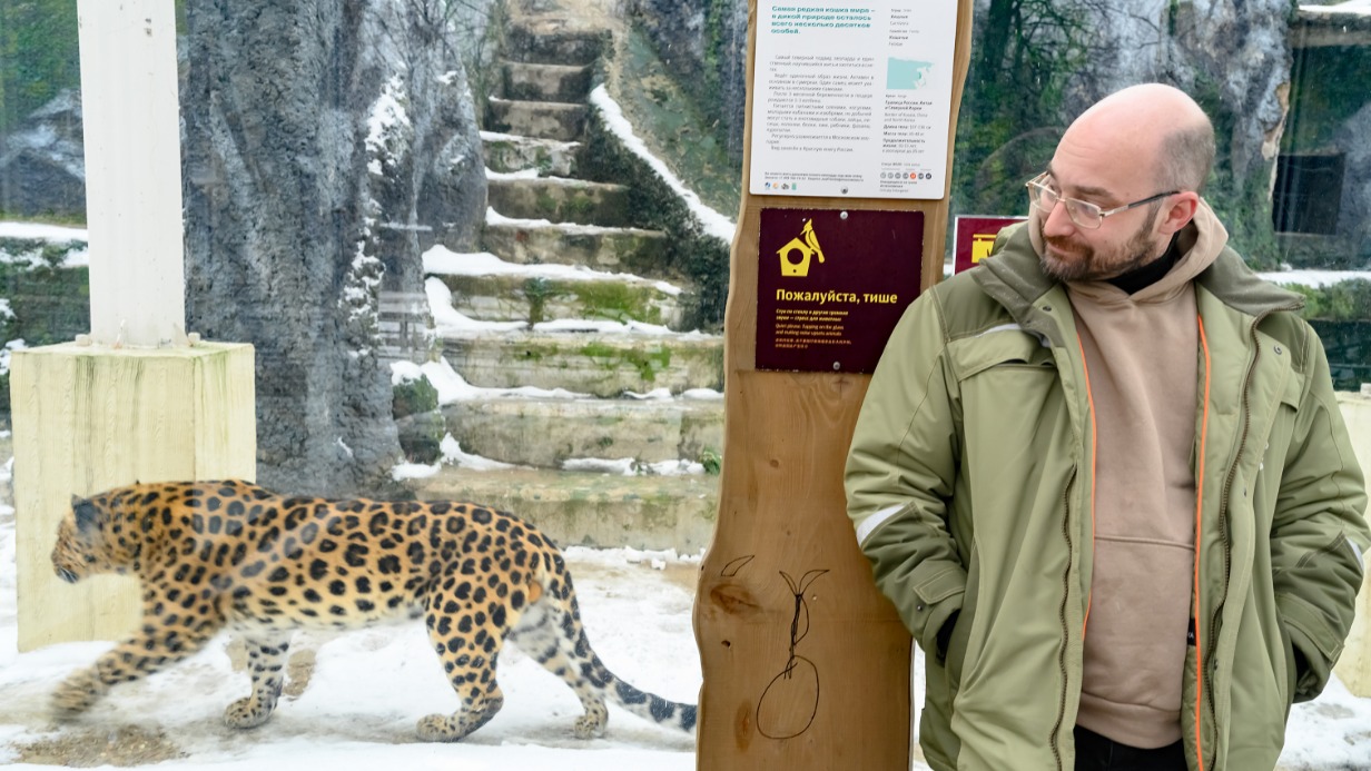 Начальник отдела «Млекопитающие» Московского зоопарка Михаил Брагин наблюдает за амурским леопардом — это самый редкий подвид семейства крупных кошачьих на Земле, и у жителей и гостей столицы есть уникальная возможность увидеть его вживую