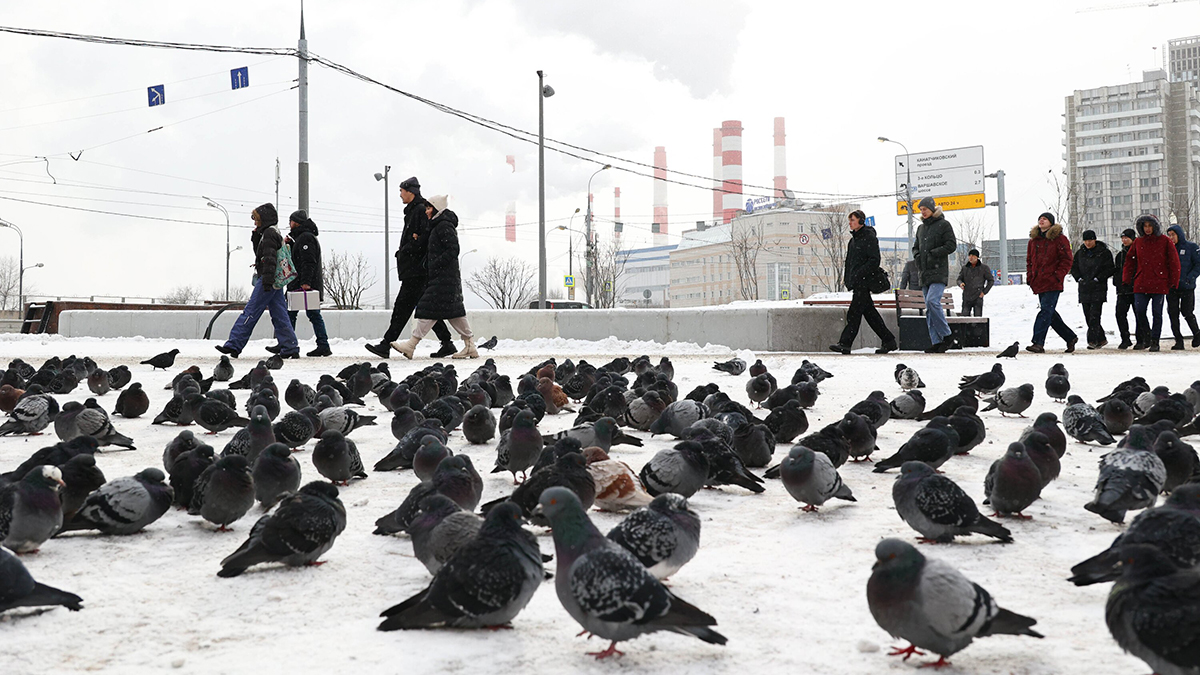 Погода в Москве и Подмосковье с 16 по 23 февраля 2025