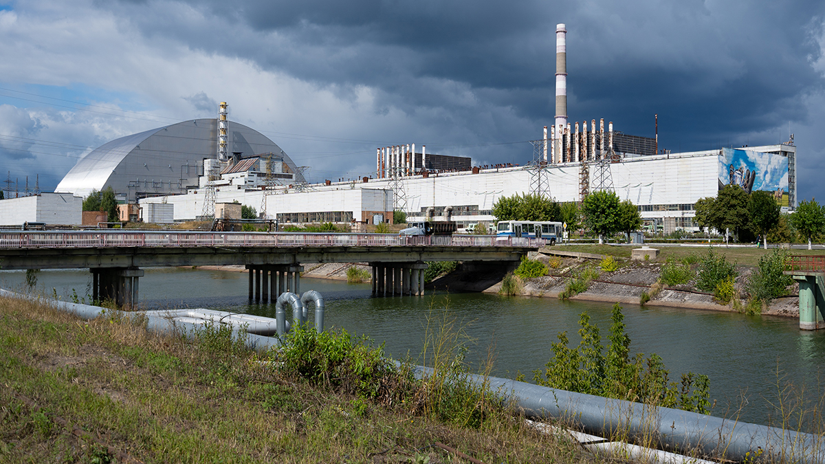 Украинские уклонисты заселили оставленную людьми чернобыльскую зону