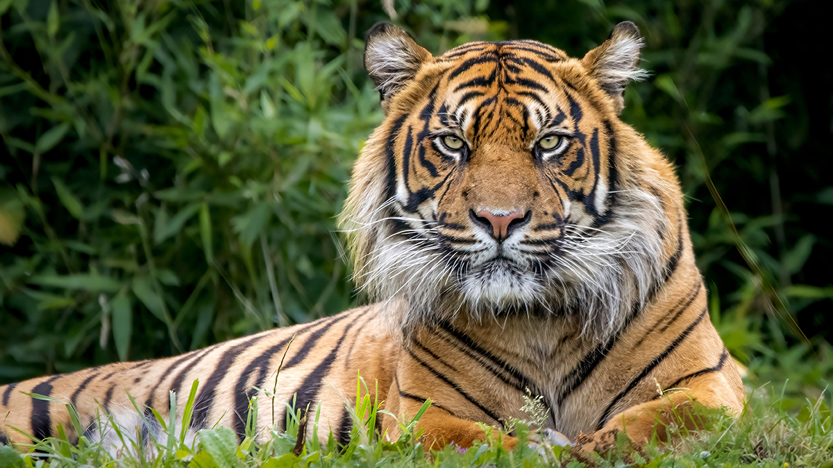 Праздники 29 июля