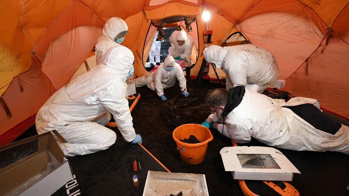 Обезглавленную болотную мумию возрастом две тысячи лет нашли в Северной Ирландии