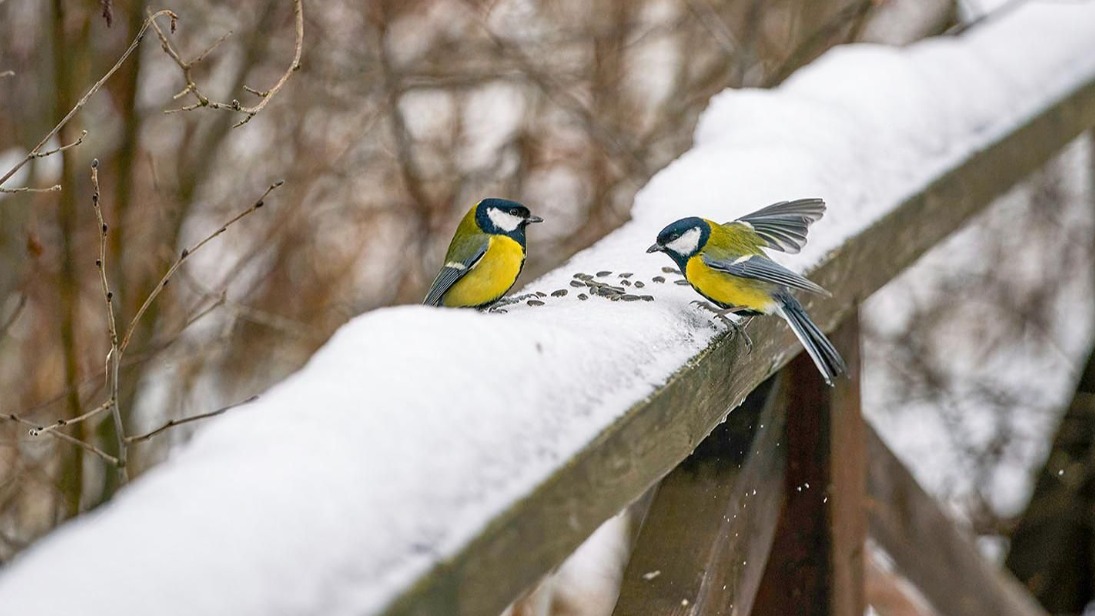 Фото Е. Самарина