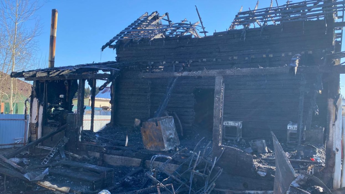Пожар в деревне Машино-Дубки Подмосковья 25 февраля 2025 года: причины, погибшие, СК возбудил дело