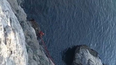Альпинисты достали кошку Мусю с выступа на скале в «Ласточкином гнезде»