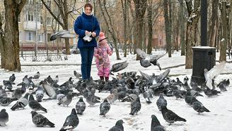 Погода в Москве 17 февраля 2026 года