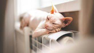 Как поменять батареи дома и не получить штраф