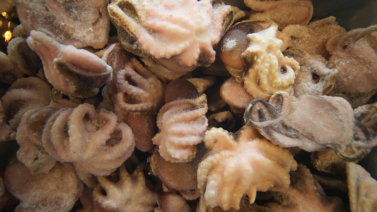 Морепродукты заметно подорожали в России за последний год 