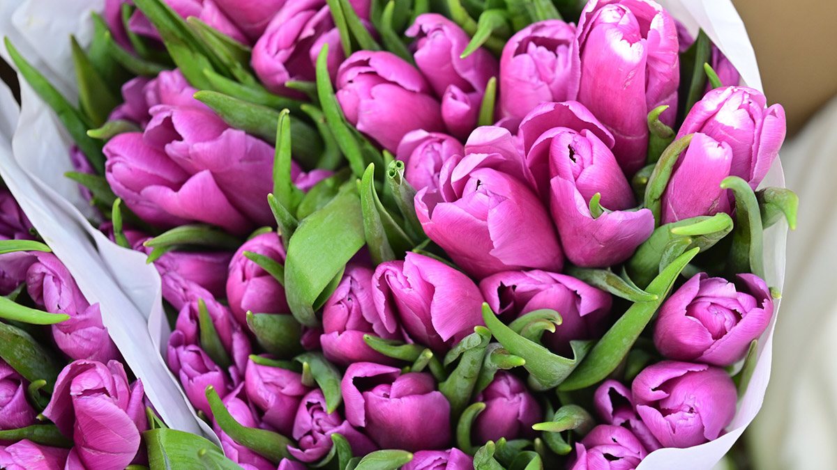 Женщина украла цветы с капота машины, припаркованной возле роддома в Подмосковье