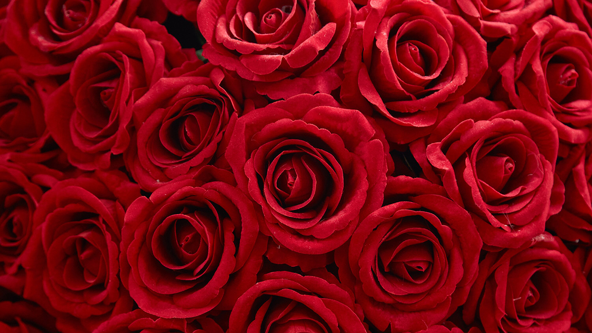 Baza: Мошенники подарили жительнице Москвы розы за 40 тысяч рублей