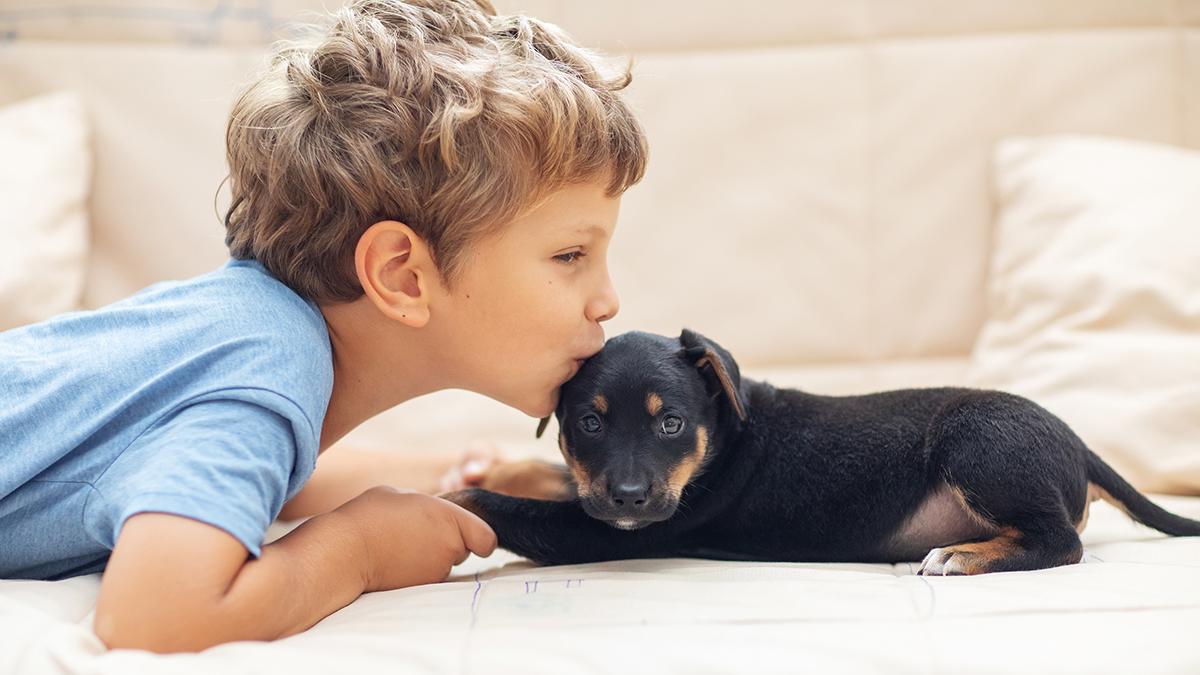 Праздники 23 марта