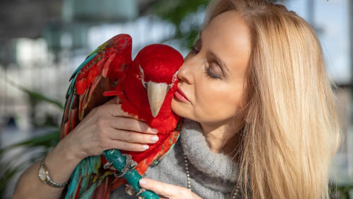 Артистка Большого Московского цирка Елена Бараненко: о спектаклях Запашного, зрителях и новой площадке