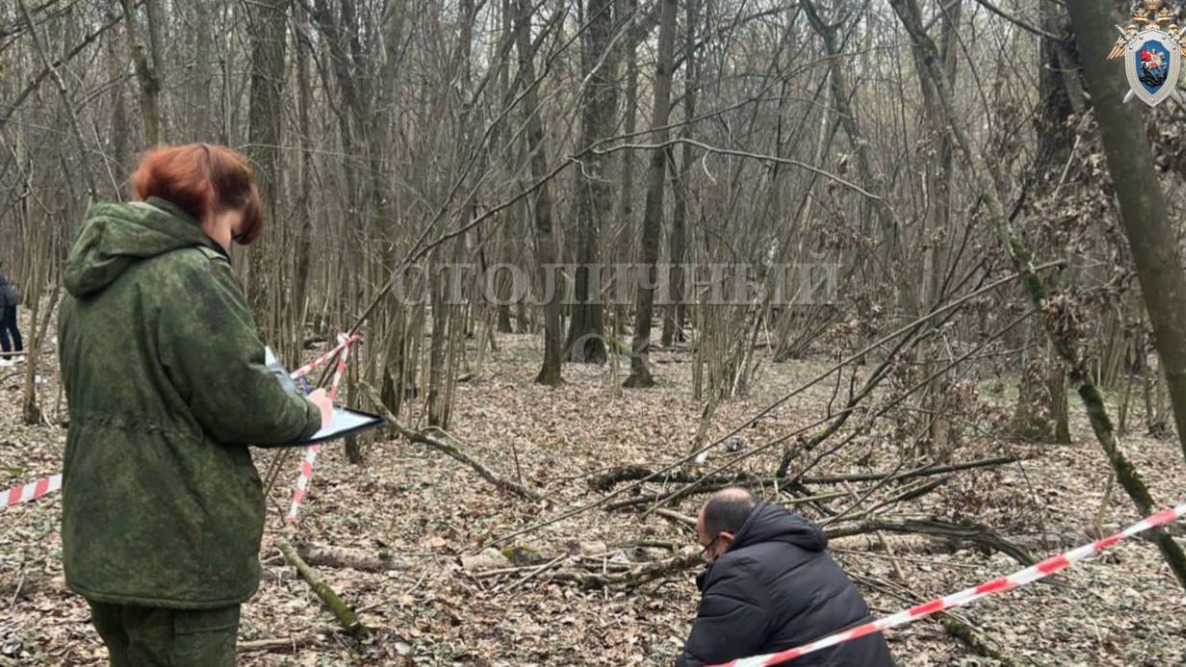 Тело мужчины нашли в Бутовском лесопарке в Новой Москве