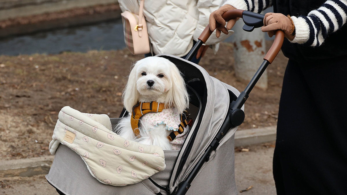 Погода в Москве на выходные 14 и 15 марта