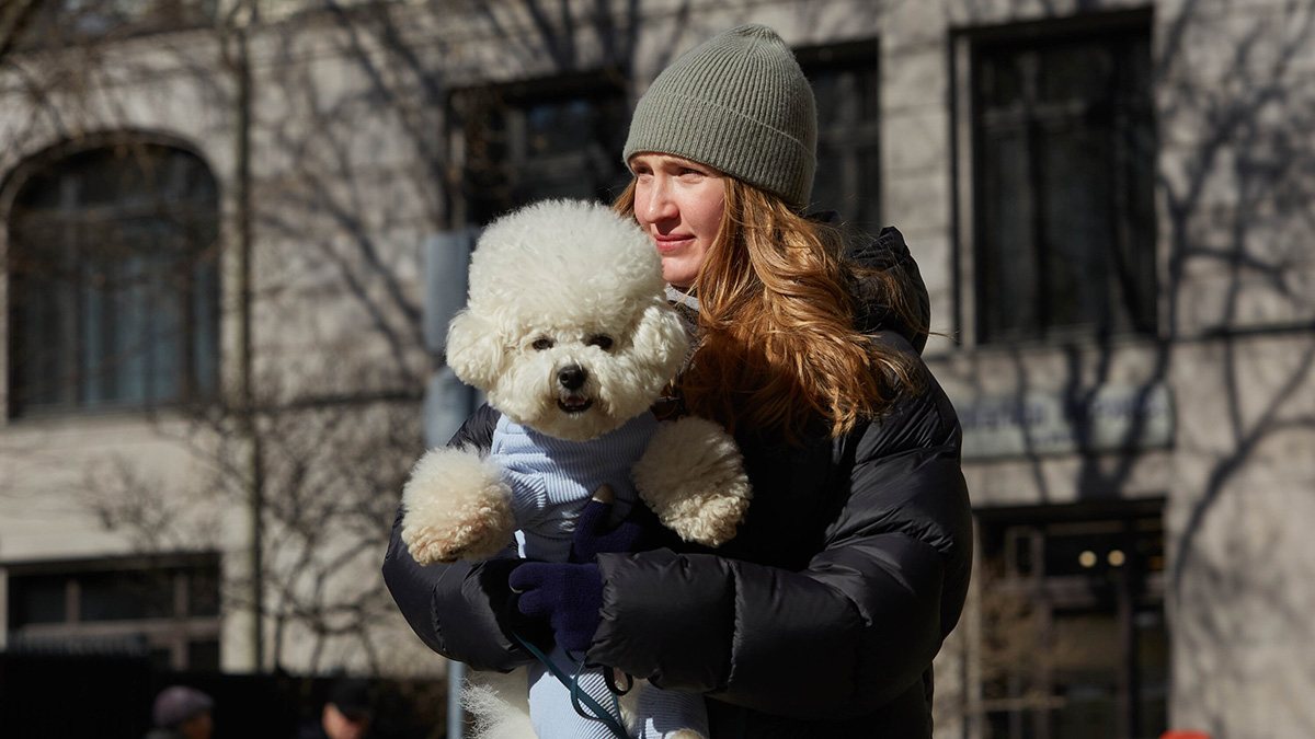 Синоптик Ильин рассказал, когда в Москве ожидается резкое потепление