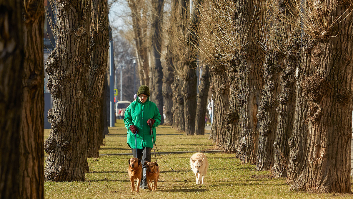 Погода в Москве 22 и 23 марта