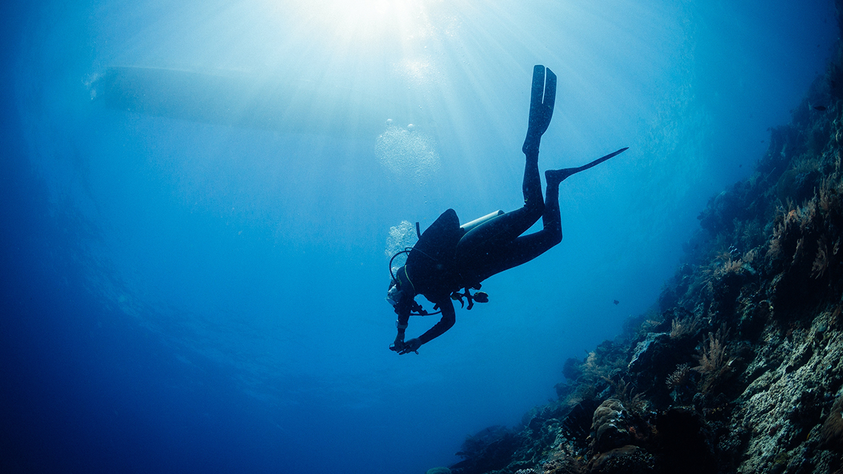 Ученые обнаружили 300-летнего гиганта в недрах Тихого океана