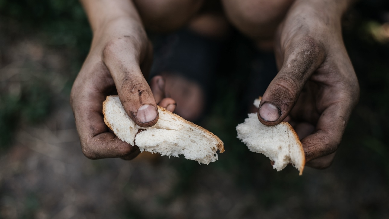 Источник: ВСУ напоказ давали людям хлеб в Судже, а потом убивали их