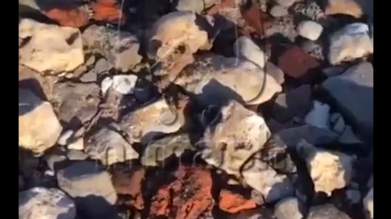 Усеянный человеческими останками пляж в российском городе сняли на видео