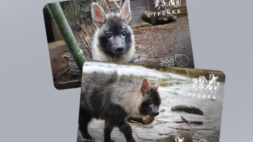 Появились тематические «Тройки» с медведицей Машей и гиеной Акелой