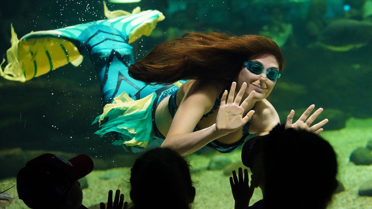 В подводых шоу океанариума «Москвариум» на ВДНХ во время празднования Дня мореплавателя также выступают артистки в образе русалки