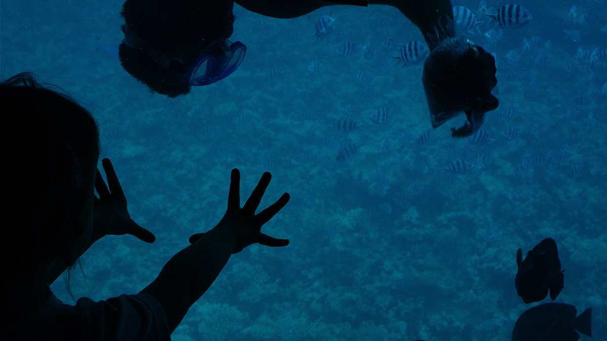 В Сети появились последние кадры, сделанные погибшей на батискафе в Хургаде россиянкой