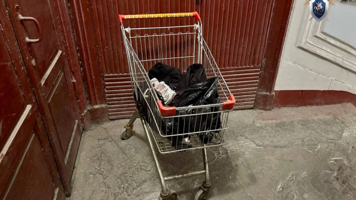 Убийство и расчленение женщины в Петербурге: что известно