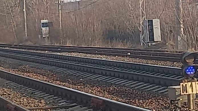 Троих подростков арестовали за поджог на ж/д по заданию куратора в Подмосковье