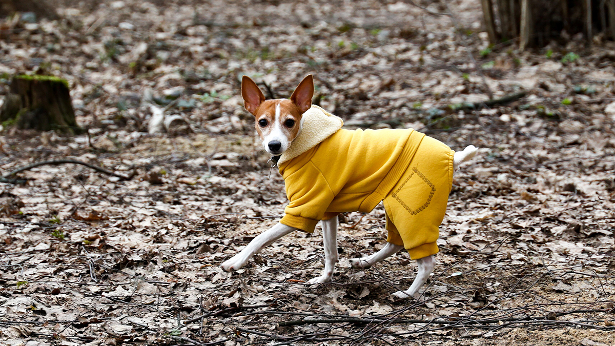 Погода в Москве на 7 дней: с 21 по 27 апреля