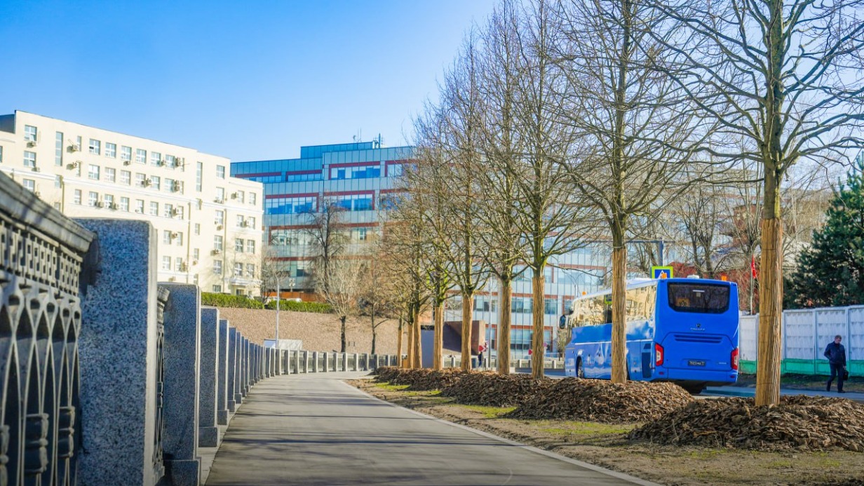 Собянин: На набережных Яузы высаживают клены, дубы, яблони и вязы