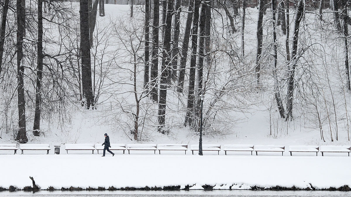 Синоптик Цыганков предупредил о возможных снегопадах в Москве в мае и июне