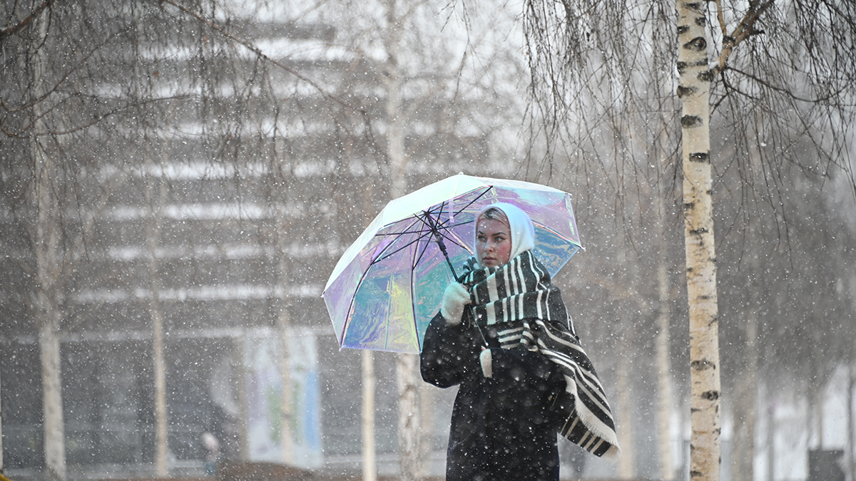 Городские службы перевели в режим повышенной готовности из-за предстоящей непогоды