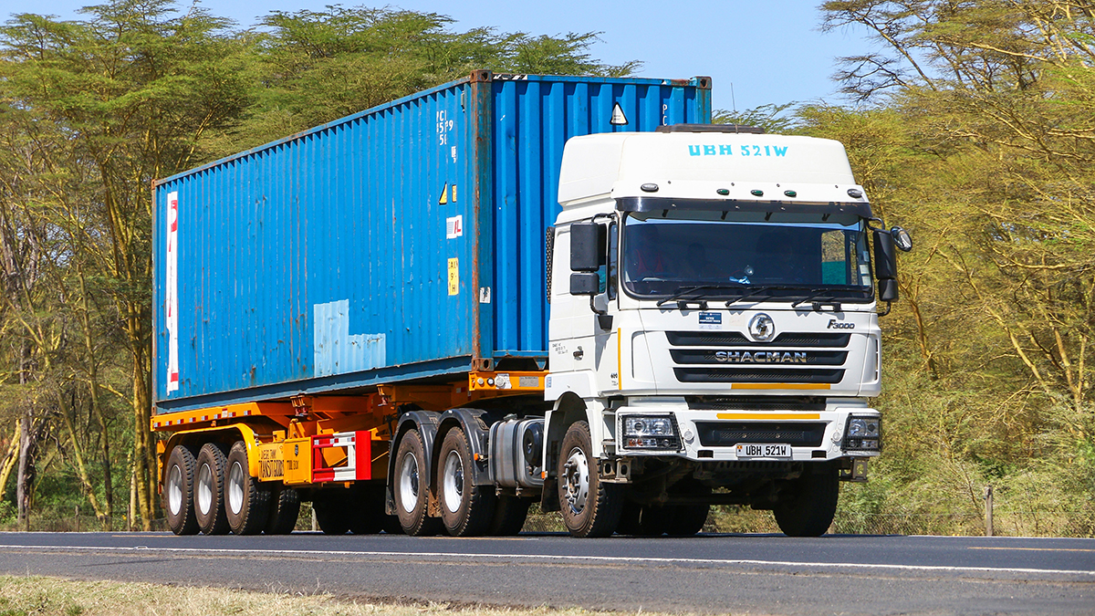 Депутат Полуянова объяснила, на что повлияет локализация производства Shacman