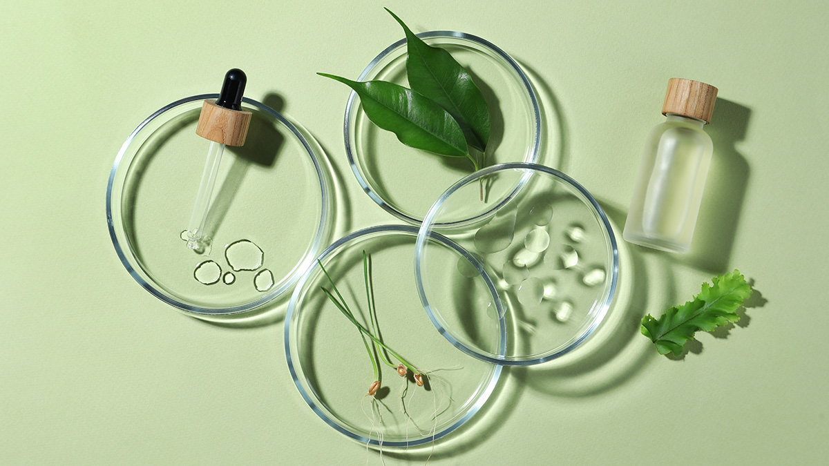 Как выбрать крем: что должно быть в составе