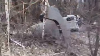 Хинштейн показал найденный под Курском 200-килограммовый дрон ВСУ