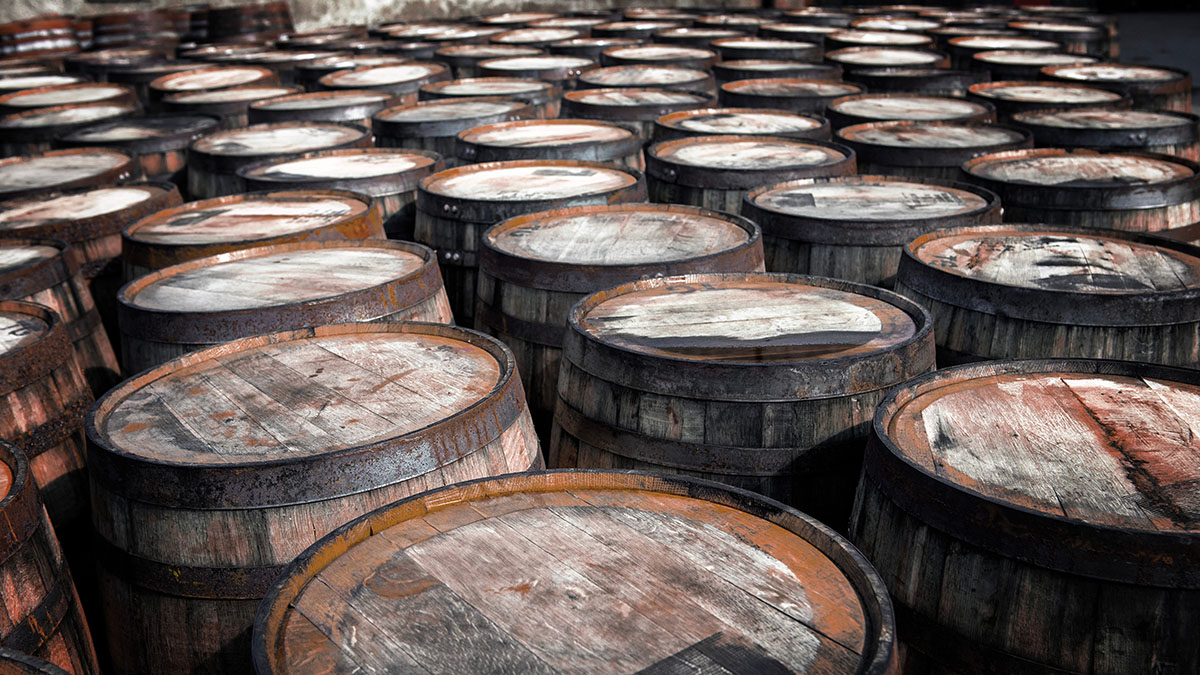 Немецкий клад в трех бочках нашли под Калининградом