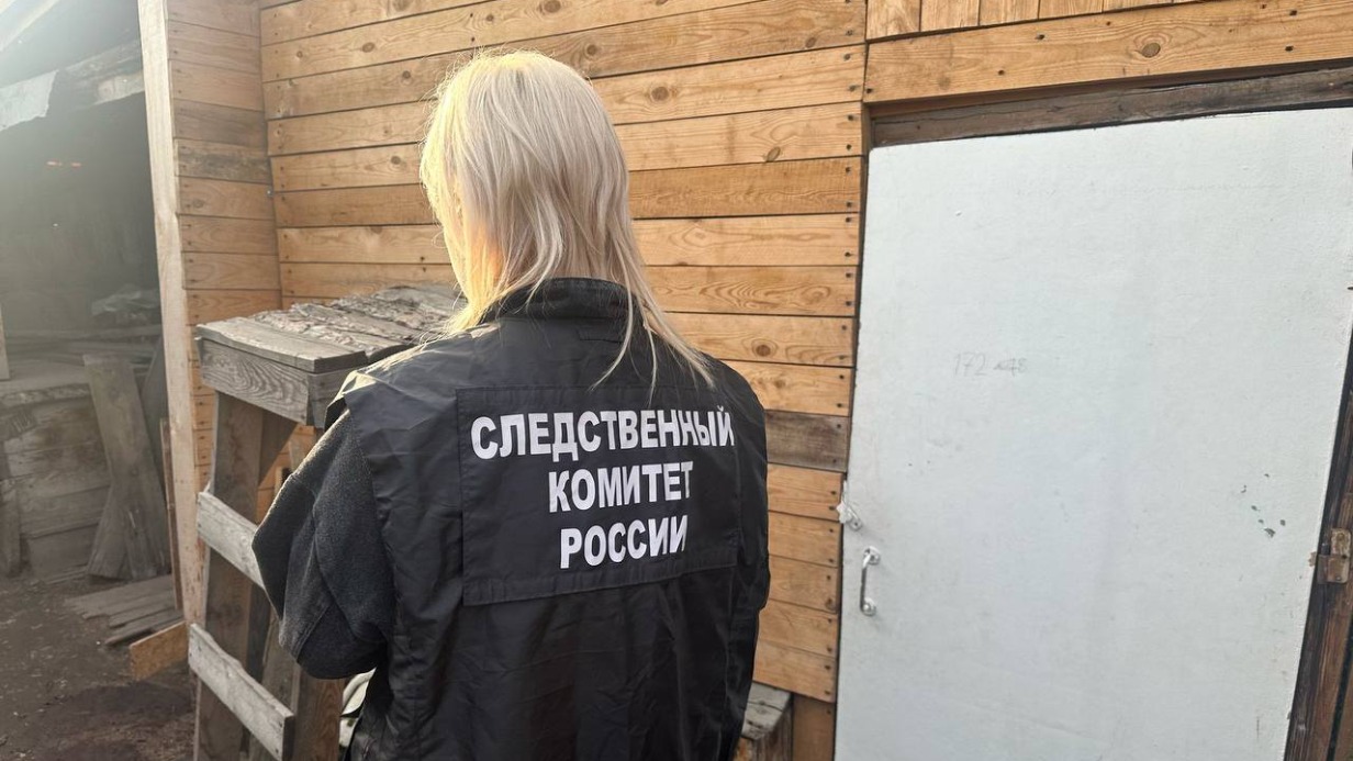 Мать зарубила троих детей в Канске: как произошло преступление, что известно о семье и что будет с выжившим ребенком