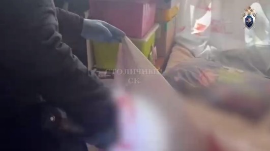 Следователи показали кадры из квартиры, где 15-летняя девушка зарезала отца