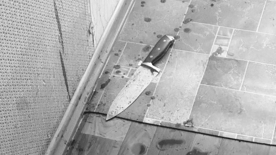 15-летняя дочь зарезала отца в Москве: что известно о семье девушки и что ей грозит, почему она это сделала