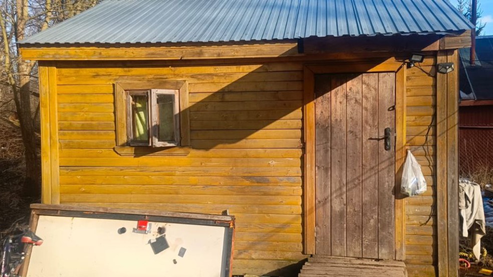 Мать выгнала сыновей жить в баню в Ленобласти: посадят ли ее и что будет с детьми