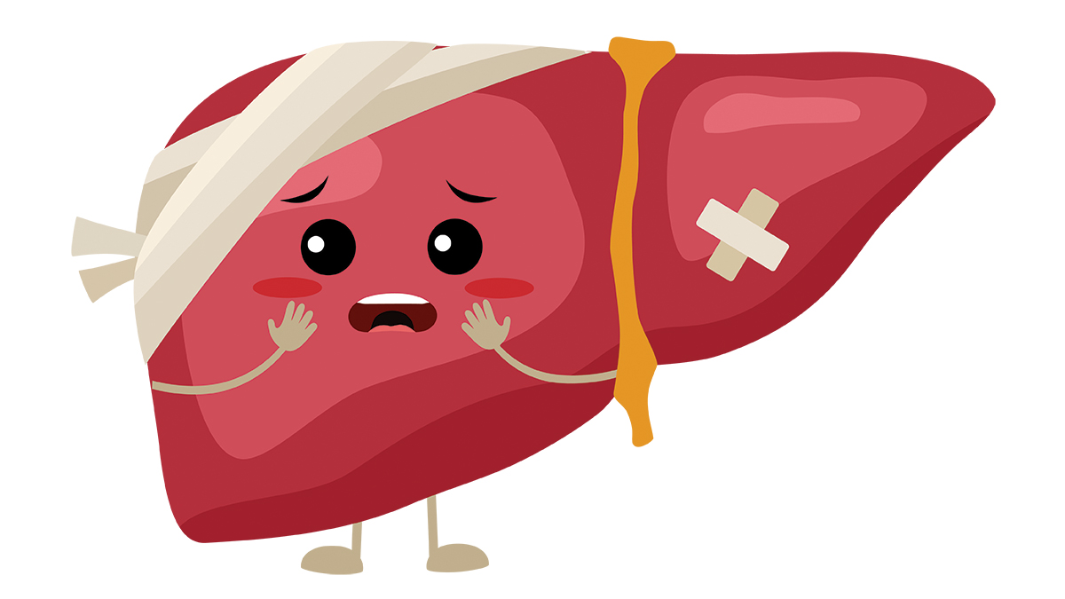 Какие привычки разрушают печень