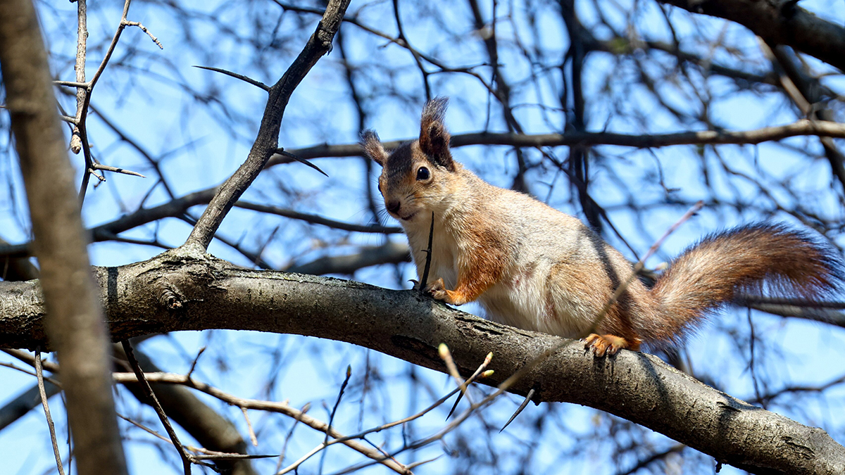 Погода в Москве 25 и 26 апреля 2026 года
