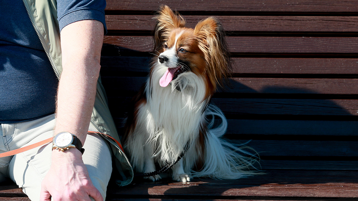 Погода в Москве с 21 по 27 апреля