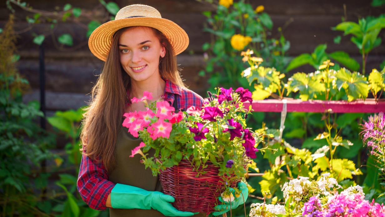Когда сажать первоцветы, какие цветы сажать в первую очередь перед дачным сезоном