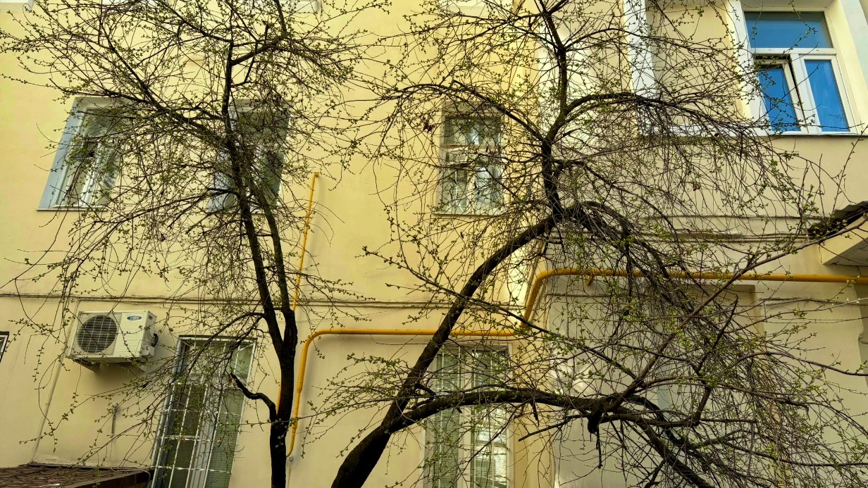 В Москве завершили замену газового оборудования в дореволюционном доме с уникальным балконом