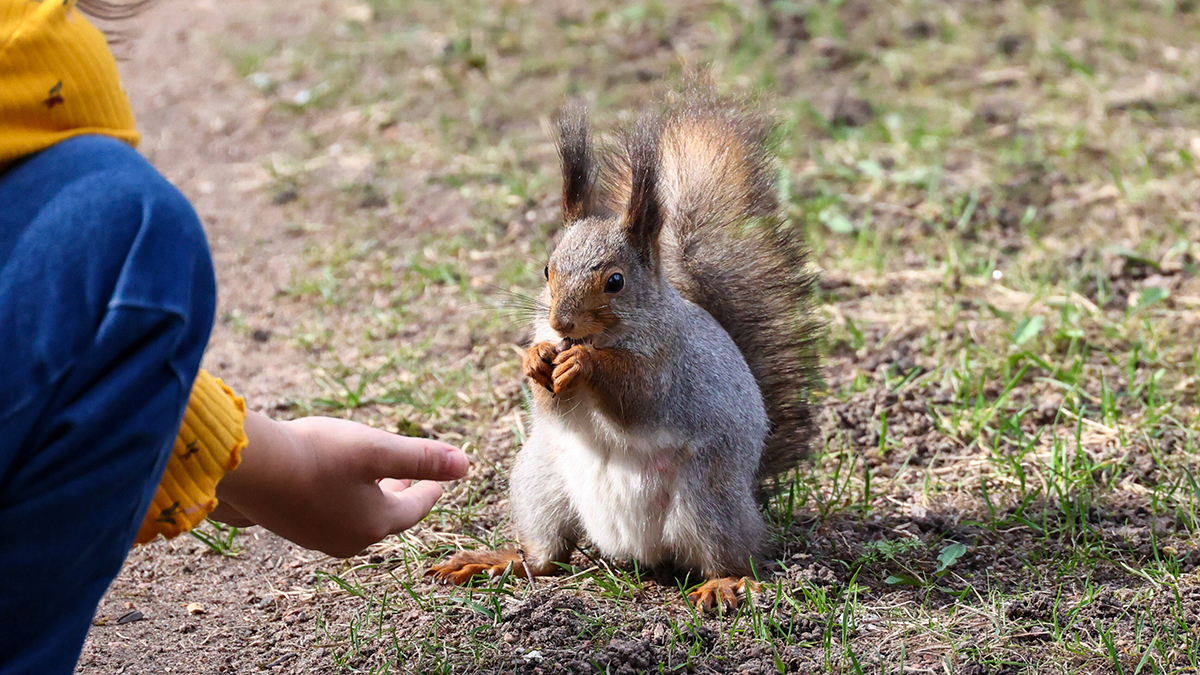 Погода в Москве на неделю с 28 апреля по 4 мая