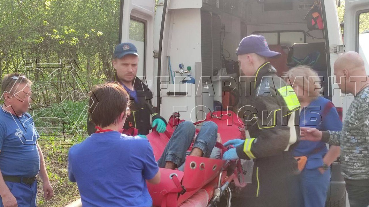 Потерявшегося в лесу на западе Москвы мальчика с ДЦП нашли